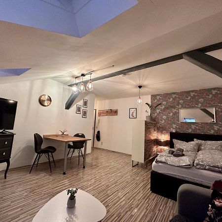 Apartment Zum roten Fuchs inkl. Parkplatz Erfurt Buitenkant foto